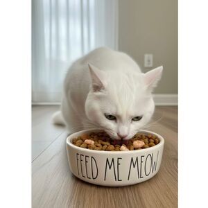 Rae Dunn "Feed Me Meow" cat bowl